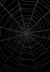 Obraz premium Intricate Spiderweb: Night's Dark Embrace AI Generated