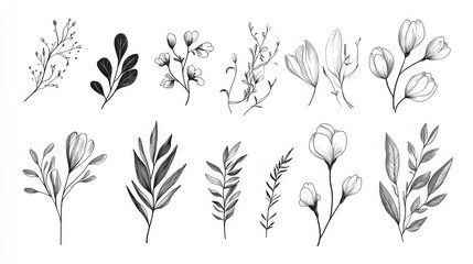 Minimal botanical wedding frame elements on white background. Set of wreath, flowers, leaf branches in hand drawn pattern. Foliage line art design for wedding, card, invitation, greeting, logo. illus