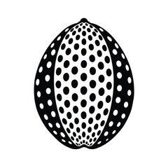 spotted cowrie shell