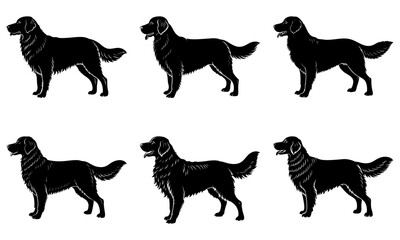 Golden Retriever Silhouette  vector