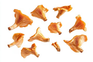 Fototapeta premium Fresh chanterelle mushrooms scattered