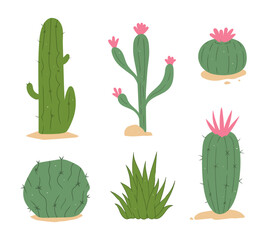 Cute Cartoon Cacti and Succulents, Various Desert Plants Vector Illustration Set Collection.