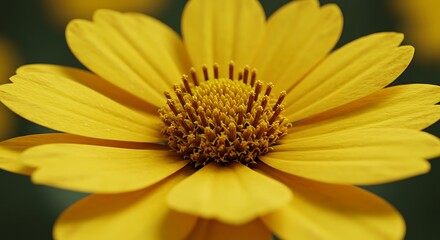 Fototapeta premium Golden Bloom: Vibrant Yellow Flower Macro AI Generated