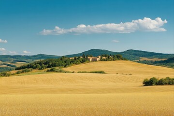 Obraz premium Golden field with farmhouses under blue sky, for travel and tourism content.