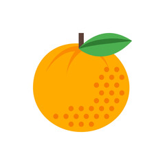 Illustration of a round orange fruit with a green leaf and a brown stem on a white background design element