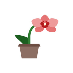 A simple illustration of a pink orchid flower in a brown pot with a green stem and leaf on a white background