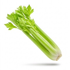 Fototapeta premium Bunch of fresh green celery stalks