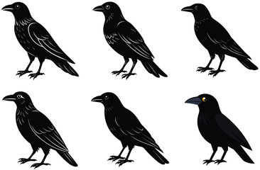 Set of wild birds, a black vector collection featuring flying silhouettes with wings, are animal icons in nature illustrations