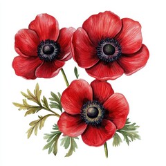 Obraz premium Vibrant red anemones in a floral arrangement