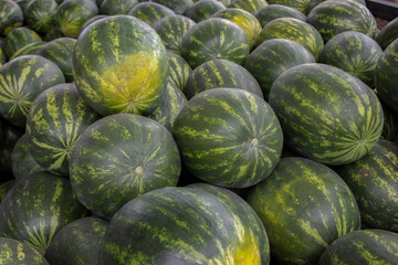 Freshly harvested seedless watermelon at a farmer's market