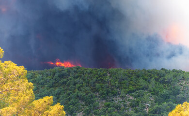 July 26, 2017 - Bormes Les Mimosas, Côte d’Azur, France - forest fire in the south of france