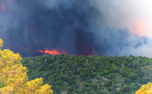 July 26, 2017 - Bormes Les Mimosas, C&ocirc;te d&rsquo;Azur, France - forest fire in the south of france