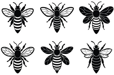 A vector set features black insect silhouettes, including spider, ant, fly, and bee icons, in a seamless nature pattern