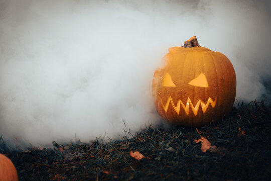 Pumpkin season