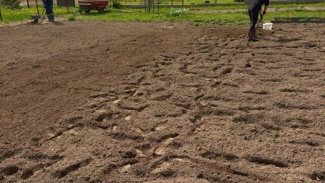 Two people working on soil compaction and planting in rural garden field