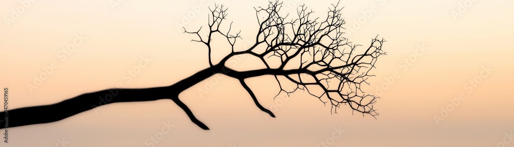 Poster Silhouette of a tree branch with intricate twigs against a sky background