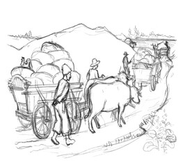 Oxen pull a cart loaded with sacks
