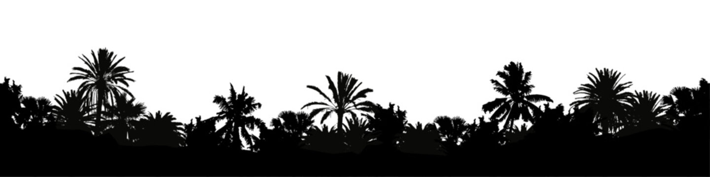 Seamless vector landscape with tropic palm tree silhouettes.