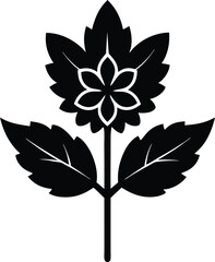 calamint flower icon vector illustration