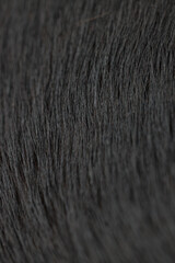 close up of a fur, black fur texture