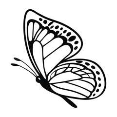 A clean vector butterfly silhouettes on a white background in black with simple and detailed wing patterns