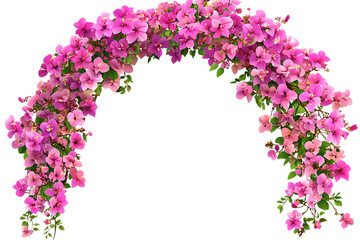 Floral Archway of Pink Flowers a Beautiful Botanical Decoration