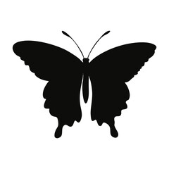 A clean vector butterfly silhouettes on a white background in black with simple and detailed wing patterns