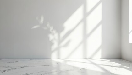 Obraz premium White wall floor with shadow. Minimalist, modern studio room design with sunlight, leaf shadows. Empty marble mockup display stage scene for product presentation.