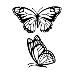 A clean vector butterfly silhouettes on a white background in black with simple and detailed wing patterns