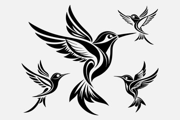 Obraz premium Hand drawn hummingbird outline illustration
