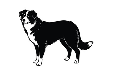 Silhouette art illustration of an Australian Shepherd from front view.eps
