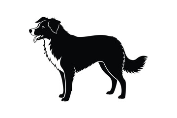 Silhouette art illustration of an Australian Shepherd looking back over shoulder.eps
