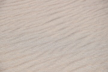 Natural pattern on the sand from the wind. Background.