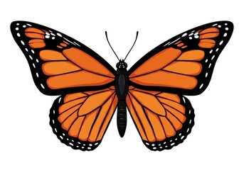 Fototapeta premium Vibrant monarch butterfly with open wings, vector illustration isolated on white background