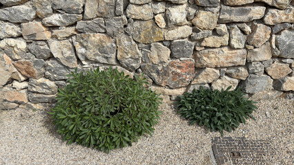 Natural stone wall made of large stones