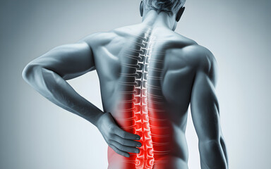 Lower Back Pain with Highlighted Spine Anatomy in Grayscale