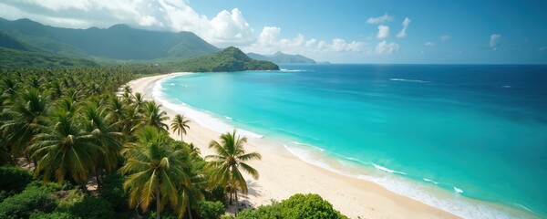 Naklejka premium Aerial view of exotic tropical beach with turquoise waters, palm trees. Secluded paradise. Ideal for tourism, vacation promotions. Summer holiday at ocean shore. Coastline. Azure sea. Clear water.