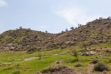 Sparse green hills dotted with bushes and rocky patches under a mostly clear sky—raw semi-arid...