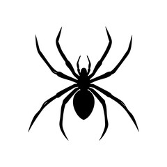 black widow spider silhouette on white background .svg