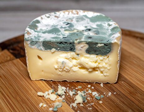 Close-up of moldy blue cheese on wooden board