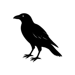 raven perched silhouette on white background  