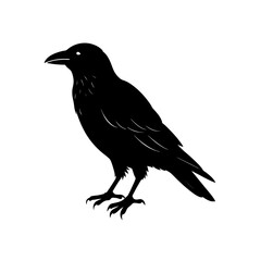 raven perched silhouette on white background 