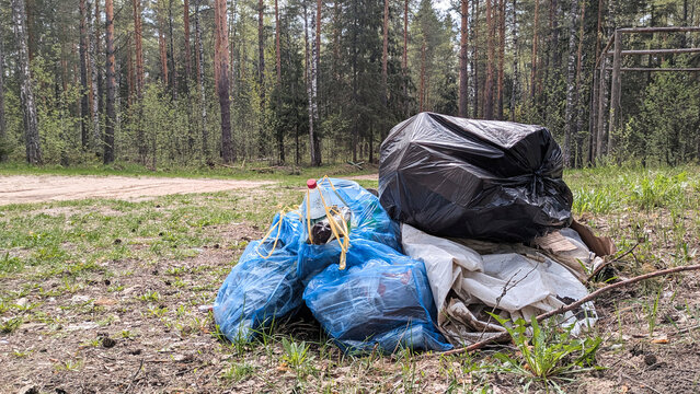 Pile of garbage bags sits discarded in a forest clearing with trees in the background. Environmental pollution and improper waste disposal in nature