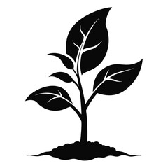 Black silhouette reveals a young sprout emerging from the soil, symbolizing new life