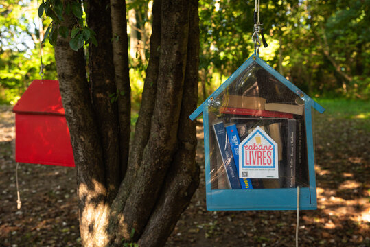 Andresy, France - October 9, 2021: A small book box public library hanging on the tree at park offers books to read to everyone.