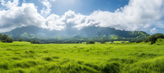 Obraz premium Green Grassland with Mountain Range