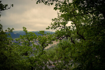 Obraz premium spring in the park