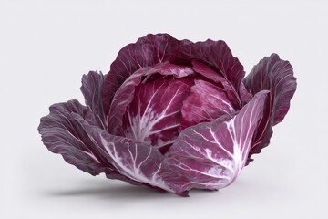 Obraz premium Vibrant Radicchio: A rich purple head of radicchio, with its tightly packed, ruffled leaves, sits against a clean white backdrop.