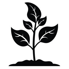 Silhouette showcases a young plant sprouting with multiple leaves from the soil, transparent background