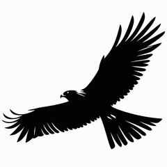 Obraz premium vector silhouette of a harrier bird gliding low, broad wings and tail, minimal style, white background 